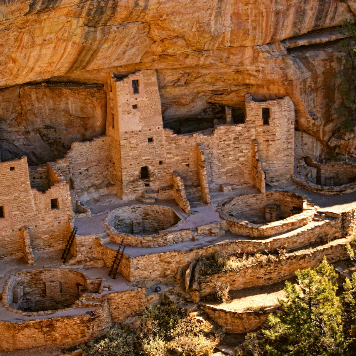 Cliff Palace, Mesa Verde National Park