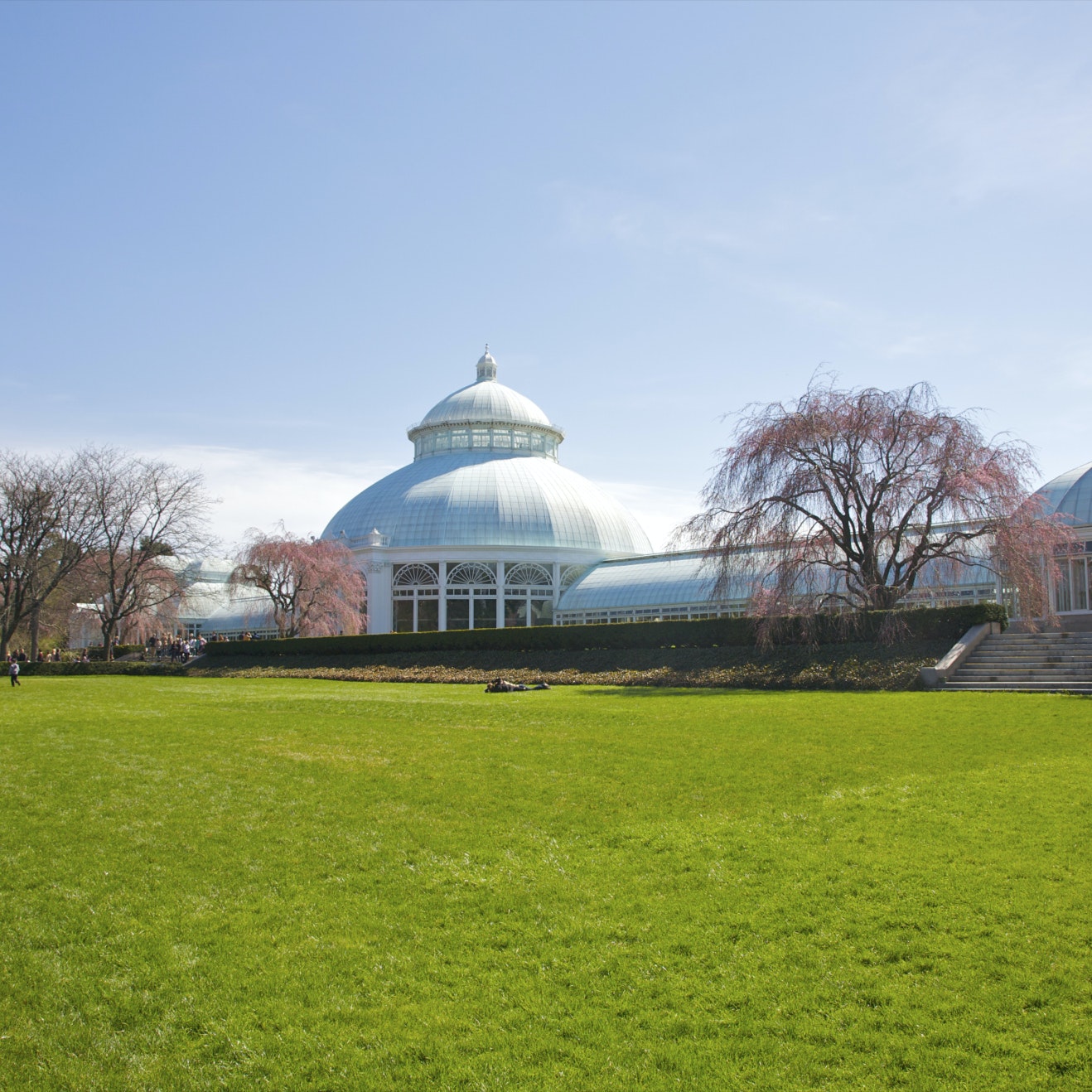 Huge expanse of green grass under white building