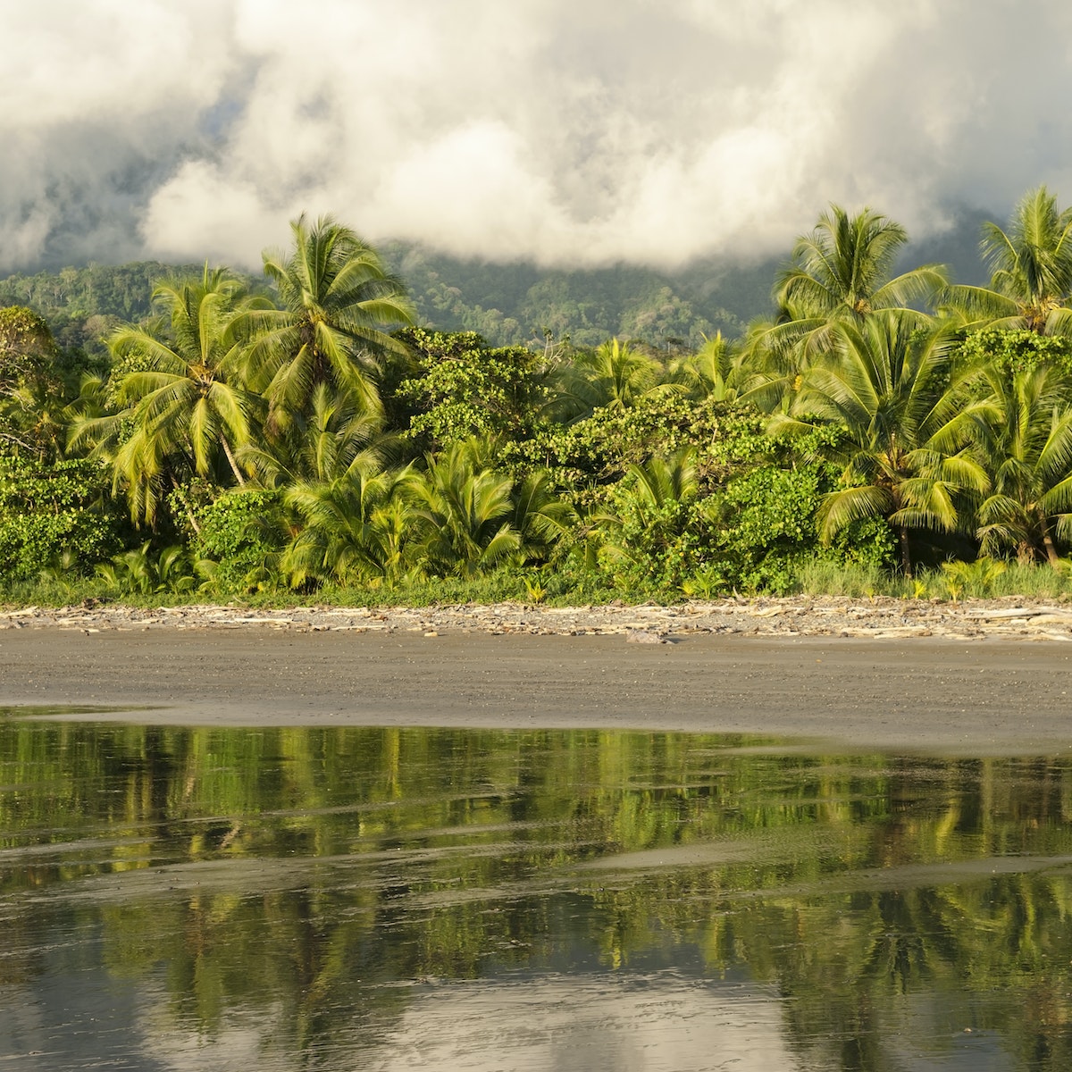 Playa Ventanas, Costa Rica.