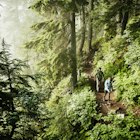 Father and daughter hiking through forest on foggy morning