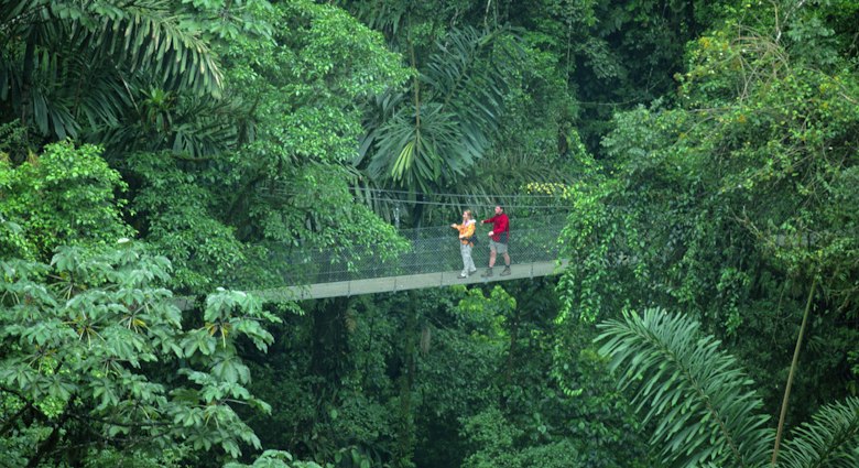 200143319-001
couple, hiking, jungle, canopy
Costa Rica, La Fortuna, Arenal Hanging Bridges