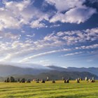 A stunning early morning sky over Castlerigg Stone Circle. Taken near Keswick in the north of the Lake District, Cumbria. UK.
682972070