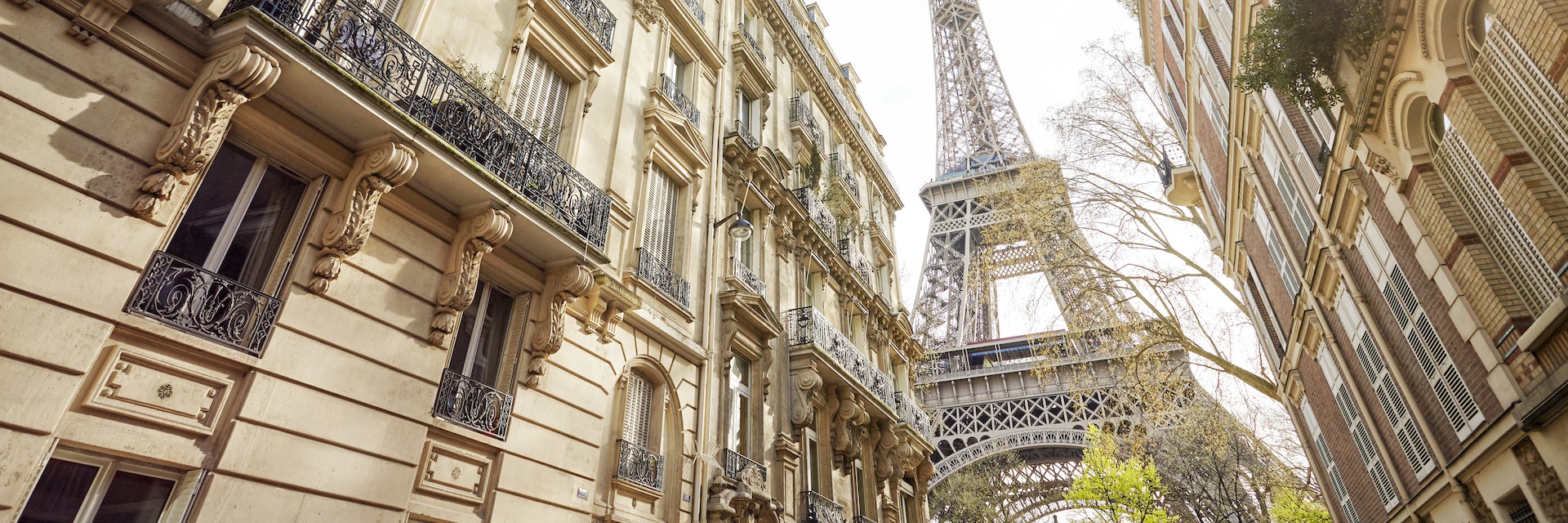 Low-angle view of the Eiffel Tower, as seen from a Paris street.