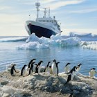 A group of penguins standing on an icy beach, ship in the water in the background, Antarctica