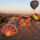 One colourful baloon moves skyward as four others are in various stages of inflation on the ground; the light is soft and golden due to sunrise