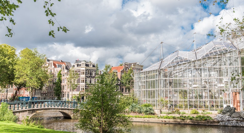 De Hortus,  botanical garden,  bridge,  cloud,  de Plantage,  nature,  tree,  Grass,  Outdoors,  Plant