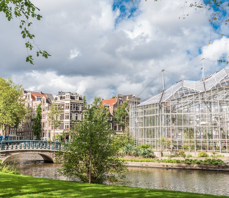 De Hortus,  botanical garden,  bridge,  cloud,  de Plantage,  nature,  tree,  Grass,  Outdoors,  Plant