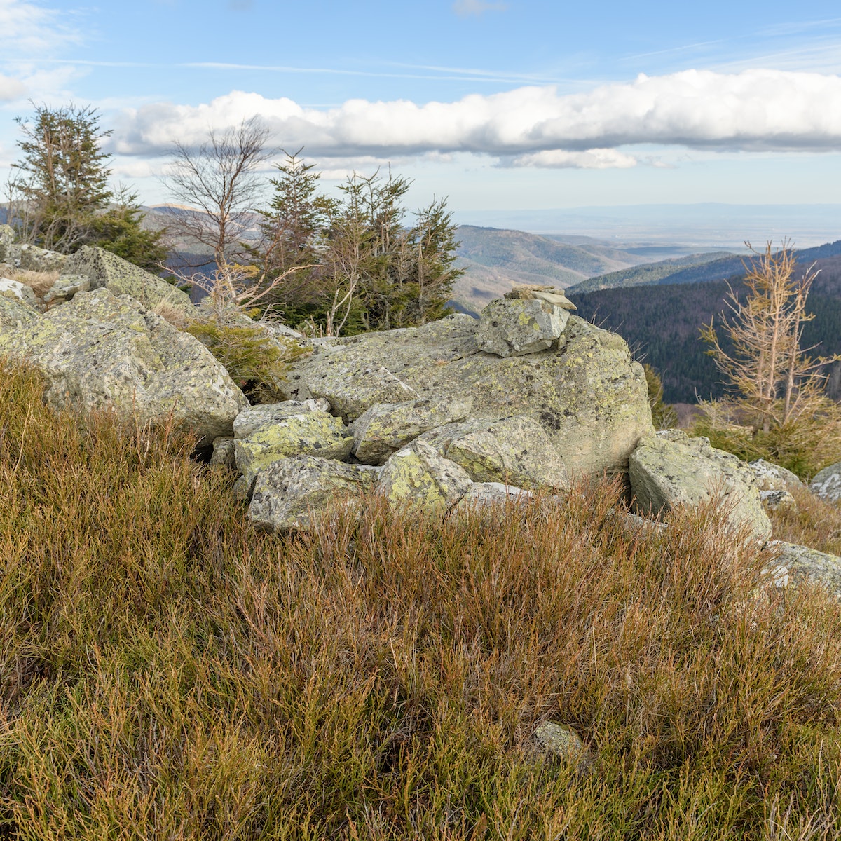 The Ballons des Vosges Regional Natural Park.