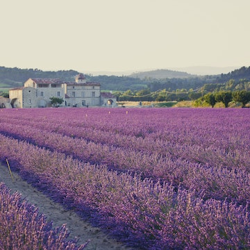 Provence & the Côte d'Azur