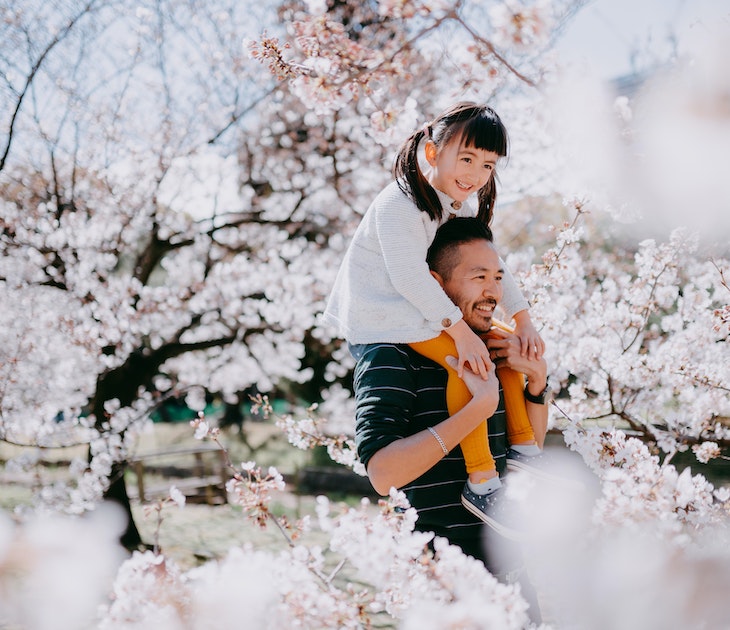 Japanese father carrying young Eurasian girl on shoulders under cherry blossoms, Tokyo, Japan
1213804538